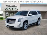 Photo of 2019 Crystal White Tricoat Cadillac Escalade