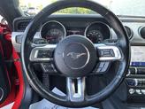 Thumbnail of 2023 Race Red Ford Mustang