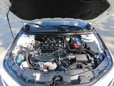Thumbnail of 2025 Platinum White Pearl Honda Accord