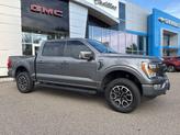 Thumbnail of 2022 Carbonized Gray Metallic Ford F-150