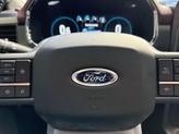 Thumbnail of 2022 Carbonized Gray Metallic Ford F-150