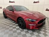 Thumbnail of 2021 Rapid Red Metallic Tinted Clearcoat Ford Mustang