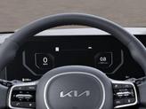 Thumbnail of 2026 Panthera Metal Kia Carnival