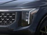 Thumbnail of 2026 Panthera Metal Kia Carnival