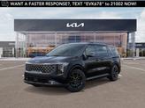 Photo of 2026 Panthera Metal Kia Carnival