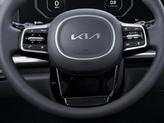 Thumbnail of 2026 Panthera Metal Kia Carnival