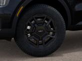 Thumbnail of 2026 Panthera Metal Kia Sorento