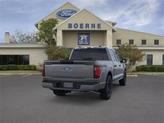 Thumbnail of 2025 Carbonized Gray Metallic Ford F-150