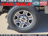 Thumbnail of 2025 Gray Ford F-250