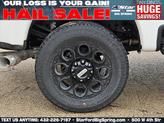 Thumbnail of 2025 White Metallic Ford F-250