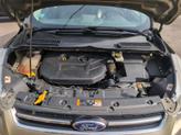 Thumbnail of 2014 Green Ford Escape