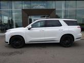 Thumbnail of 2025 Hyper White Hyundai PALISADE