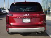 Thumbnail of 2023 Dawning Red Kia Telluride