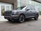 Photo of 2026 Ecotronic Gray Pearl Hyundai PALISADE