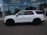 Thumbnail of 2025 Hyper White Hyundai PALISADE