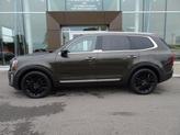 Thumbnail of 2021 Dark Moss Kia Telluride