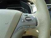 Thumbnail of 2015 Java Metallic Nissan Murano