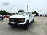 Thumbnail of 2025 White Ford F-150