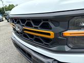 Thumbnail of 2025 White Ford F-150