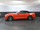 Thumbnail of 2016 Competition Orange Ford Mustang