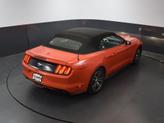 Thumbnail of 2016 Competition Orange Ford Mustang