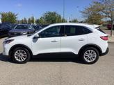 Thumbnail of 2020 Oxford White Ford Escape