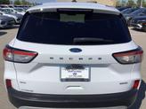 Thumbnail of 2020 Oxford White Ford Escape
