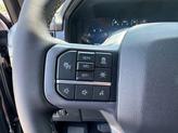 Thumbnail of 2025 Agate Black Metallic Ford F-150