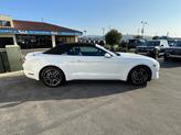 Thumbnail of 2023 Oxford White Ford Mustang