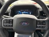 Thumbnail of 2025 Gray Metallic Ford F-150 Lightning
