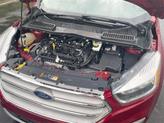 Thumbnail of 2019 Ruby Red Metallic Tinted Clearcoat Ford Escape