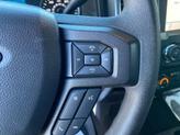 Thumbnail of 2019 Magnetic Metallic Ford F-150