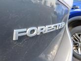 Thumbnail of 2023 Magnetite Gray Metallic Subaru Forester