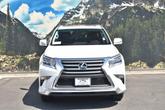 Thumbnail of 2019 Starfire Pearl Lexus GX 460