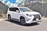 Photo of 2019 Starfire Pearl Lexus GX 460