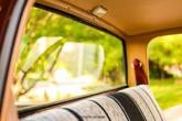 Thumbnail of 1977 Brown Chevrolet C20/K20