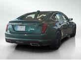 Thumbnail of 2025 Typhoon Metallic Cadillac CT5