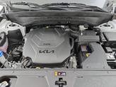 Thumbnail of 2024 White Kia Telluride