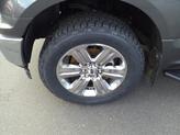 Thumbnail of 2019 Gray Ford F-150