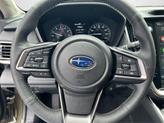 Thumbnail of 2025 Autumn Subaru Outback