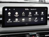 Thumbnail of 2022 Vik Black Genesis G70