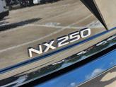 Thumbnail of 2025 Caviar Lexus NX 250