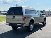Thumbnail of 2009 Gold Ford F-150