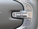 Thumbnail of 2023 Vik Black Genesis GV80