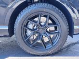 Thumbnail of 2023 Vik Black Genesis GV80