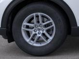 Thumbnail of 2025 White Ford Explorer