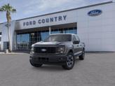 Thumbnail of 2025 Agate Black Metallic Ford F-150
