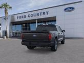 Thumbnail of 2025 Agate Black Metallic Ford F-150
