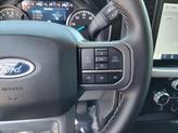 Thumbnail of 2023 Avalanche Ford F-150