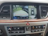 Thumbnail of 2020 Vik Black Genesis G80
